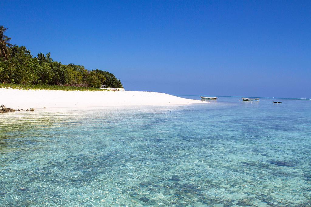 Hotel Tropic Tree Maldives Gulhi Zewnętrze zdjęcie