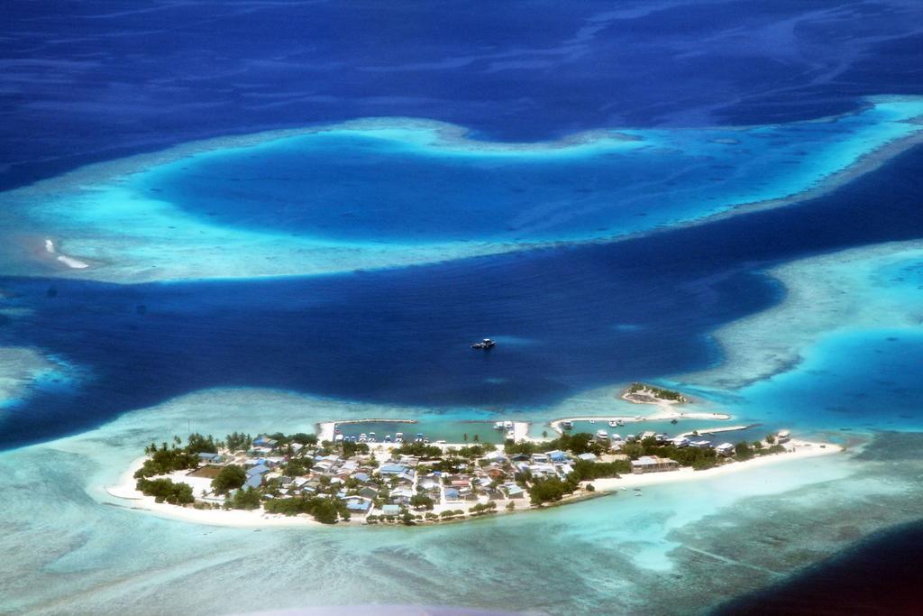 Hotel Tropic Tree Maldives Gulhi Zewnętrze zdjęcie
